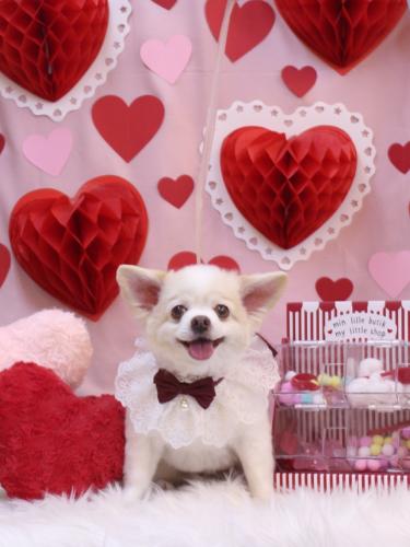 20240216ななちゃん